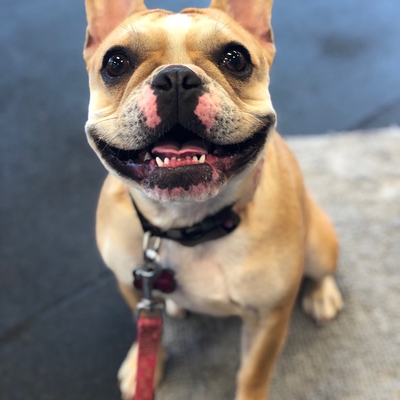 Meet your Posher, Tera - Picture 1 of 1